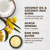 SheaMoisture Daily Hydration Crème Sugar Scrub Care for Dry Skin 100% Virgin Coconut Oil Acacia Senegal Exfoliating Scrub, Coffee, 8 Oz