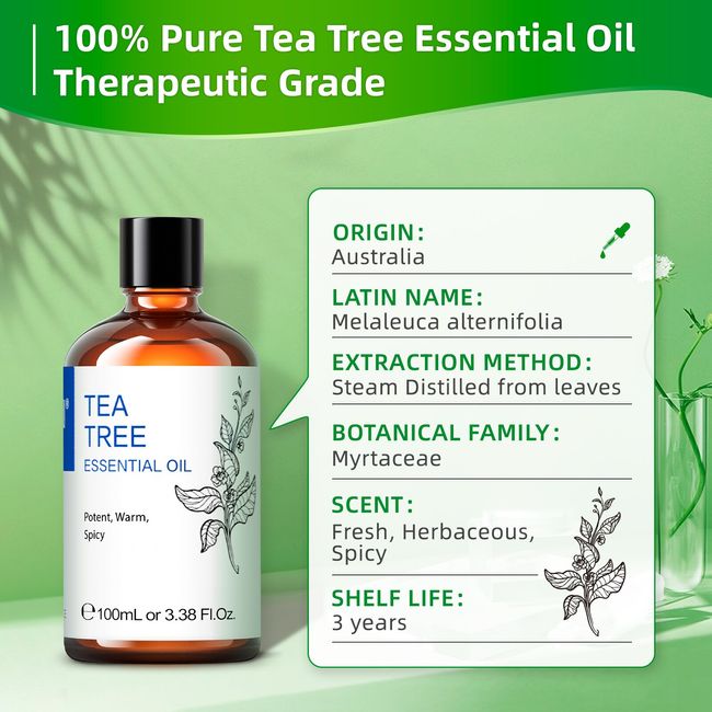 HIQILI 100ML Coconut Vanilla Fragrance Oil,100% Pure Oil For  Home,Hotel,Travel,Aromatherapy,Humidifier