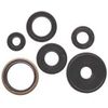 Winderosa Engine Oil Seal Kit 822293