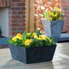 Novelty Ella Low Square Planter, 12-Inch, Black