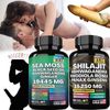2 Pack Dynamic Vitality Bundle - Sea Moss Multivitamin & Shilajit Power Combo US