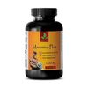 Post Workout Pills - MAXAMINO PLUS 1200 - Improves Immunity - 180 Tablets