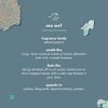 Method Men Face Wash, Sea + Surf, 6 Ounces