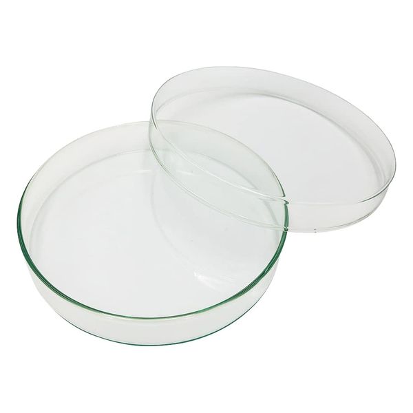 As One Standard Petri Dish Diameter 7.1 x 1.2 inches (180 x 30 mm) /2-9169-09