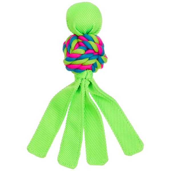 Kong Dental Waba Small (Lime Green)