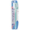 Set of 2 Taurus Training Toothbrush Dent Trainer for Long Muzzle Dogs