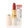 Cezanne Lasting Lip Colour N ‐ 102 Brown
