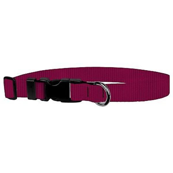 Dog Collar - Colored Adjustable Pet Collars 1 Inch Wide Medium Raspberry