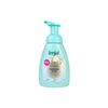 Fenjal Classic Foam Soap 250ml