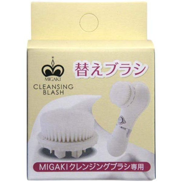 Mist Persimmon kurenzinguburasi For Replacement Brush Pure White