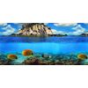 Pistachio Pet - Double-Sided Background Aquarium Poster, 45 x 100 cm