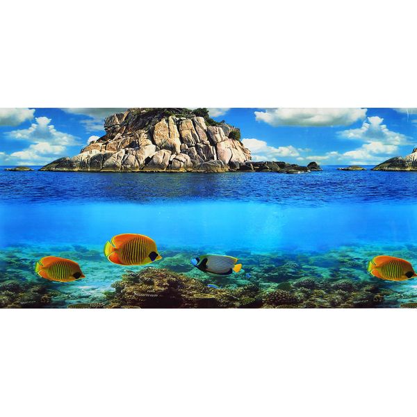 Pistachio Pet - Double-Sided Background Aquarium Poster, 45 x 100 cm