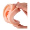 1 Pair Soft Silicone Ear Model Ear Piercing Practice Ear Studs Earring Jewelry Display