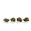Woodland Scenics Classics Tree, Waters Edge 2-3" (4)