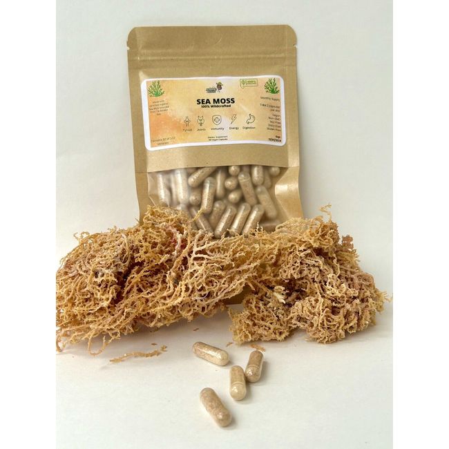 Organic Sea Moss Capsules 100% Pure Sea Moss Complex Wildcrafted Maximum Potency