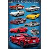 Vette Evolution Poster Home Decor Print (24x36)