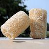 HealthGoodsIn - Organic Loofa Natural Bath Sponge, Set of 2 Exfoliating Bath Sponge Scrubber | Naturally Grown Loofah (Set of 2)