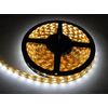 12V Flex Strip Super Bright WW 300 LED 5M Waterproof