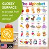 11 x 17 Educational Posters – Bundle of 16 Learning Chart for Classroom Homes
