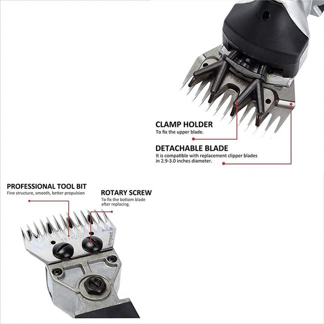 tool for smoothing alpaca teeth