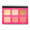 Shaina B. Miami Blush and Highlight Palette