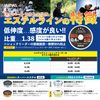 VARIVAS Super Trout Area Super Ester 150m Natural No. 0.25