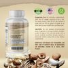 PureFungi Complex- Brain & Immune Support- 5 Bottles- 300 Capsules