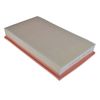 Blue Print ADJ132231 Air Filter, pack of one