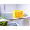 Cheese Holder Tray for Square Singles Slices