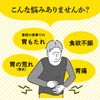 【第2類医薬品】大正漢方胃腸薬 20包
