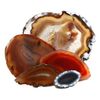 Agate Slice Natural - Medium (60x80mm)