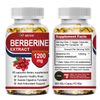 Berberine Extract 1200mg - High Absorption, Heart Health Support Supplements