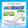 Charmnap Absorbent and Smooth Deodorization, No Feathers, 0.1 fl oz (3 cc), 6.9 inches (17.5 cm), 68 Pieces (Orimono & Moisture Care, Urine, Absorbent Liner, Urinary Leak Liner, Panty Liner Size, For Light Urine Leak
