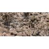 5 Metres - Double Sided Official Crye Multicam ARID™ 25mm / 1" Webbing