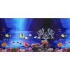 Double-Sided Background Aquarium Poster, 45 x 100 cm
