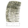 French Amie Classy 16 Teeth Opera Handmade Medium Celluloid Acetate Side Hair Comb