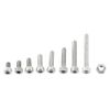 300pcs M2.5 A2 Stainless Steel Hex Socket Screws Bolt With Hex Nuts Assortment, Full Thread, Plain Finish(A: Cap head)