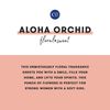 Capri Blue Aloha Orchid Reed Diffuser Set - Includes Scented Diffuser Oil, Diffuser Sticks, and Mercury Iridescent Glass Bottle - Scent Diffusers for Home (5.7 fl oz)