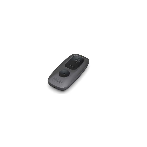 GN Resound Simple Remote Control