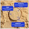 Prebiotic & Fiber Supplement For Dogs