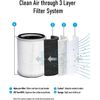TOPPIN TPAP001 Air Purifier Replacement Filter,H13 True HEPA Filter