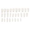 28 Pieces Removable Teeth, Durable Plastic Removable Design False Teeth for Typodont Teaching Study, Replacement Teeth Learning Model