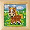 Orchidea Pony Needlepoint Kit