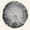 Princeton Architectural Press Woodcut: Three Puzzles