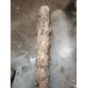 birch wood logs