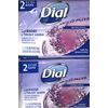 Same Bus Day Ship Dial Lavender Antibacterial Deodorant Soap 2ea 2ct Pk(4 Bars)
