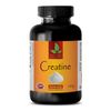 pre workout - CREATINE MONOHYDRATE POWDER 100g - post workout - 1 Bottle