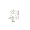 5mm STAINLESS STEEL 316 (A4) Bow shackle Pack Size : 2