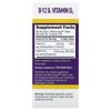 Methylcobalamin B-12 & Vitamin D3, 100 MicroLingual Instant Dissolve Tablets
