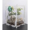 Jumping Spider Enclosure Starter Kit! Full setup, sling, pet jumping spider, front opening, secure. Invert friendly! (Green)